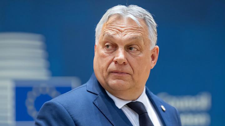 Россия создала плацдарм в Часовом Яре: начало наступления под Запорожьем. Наши отбивают Сокол. США «сливают» Зеленского — Горячая сводка СВО Россия создала плацдарм в Часовом Яре: начало наступления под Запорожьем. Наши отбивают Сокол. США «сливают» Зеленского — Горячая сводка СВО