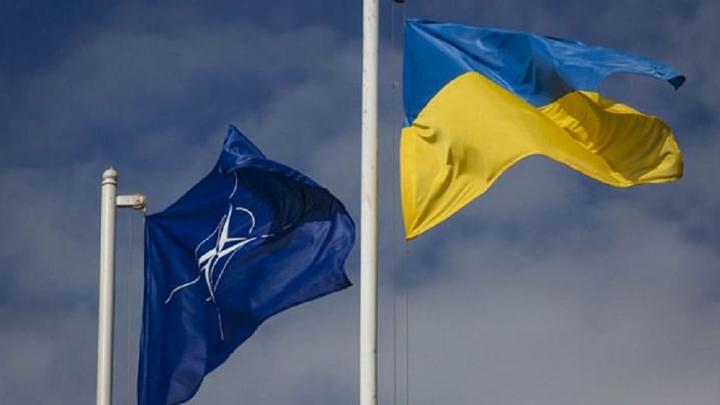 Как США во Вьетнаме: Запад готовит повод для предлога ввести на Украину войска Как США во Вьетнаме: Запад готовит повод для предлога ввести на Украину войска