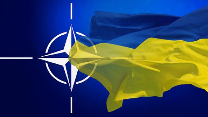 Исконные земли России отойдут Франции и Британии: Одесса и Николаев становятся разменной монетой в войне с Западом Исконные земли России отойдут Франции и Британии: Одесса и Николаев становятся разменной монетой в войне с Западом