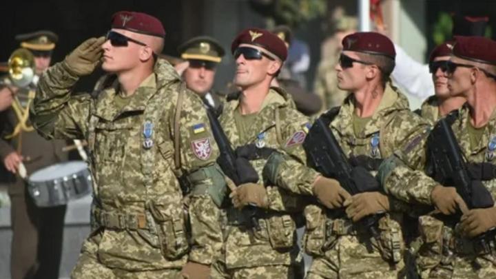 «Русское сафари» пошло не по плану: Литовские наемники попали под ракетный удар в Красноармейске «Русское сафари» пошло не по плану: Литовские наемники попали под ракетный удар в Красноармейске