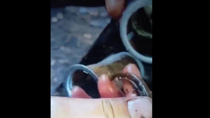 «Топливо летнее, разбавленное. Бойцы покупают соляру на свои» – военблогер. В Минобороны ничего не видели? «Топливо летнее, разбавленное. Бойцы покупают соляру на свои» – военблогер. В Минобороны ничего не видели?