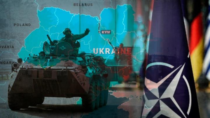 Уиткофф привёз Путину план капитуляции? Немецкое оружие «массово непригодно» на Украине, англичане заняли базы ВСУ. СВОдки с фронта Уиткофф привёз Путину план капитуляции? Немецкое оружие «массово непригодно» на Украине, англичане заняли базы ВСУ. СВОдки с фронта