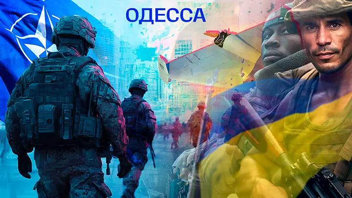 «Латиносов и поляков просто несметное количество»: Одесситов довели до ручки. Скоро начнется охота на генералов – подполье «Латиносов и поляков просто несметное количество»: Одесситов довели до ручки. Скоро начнется охота на генералов – подполье