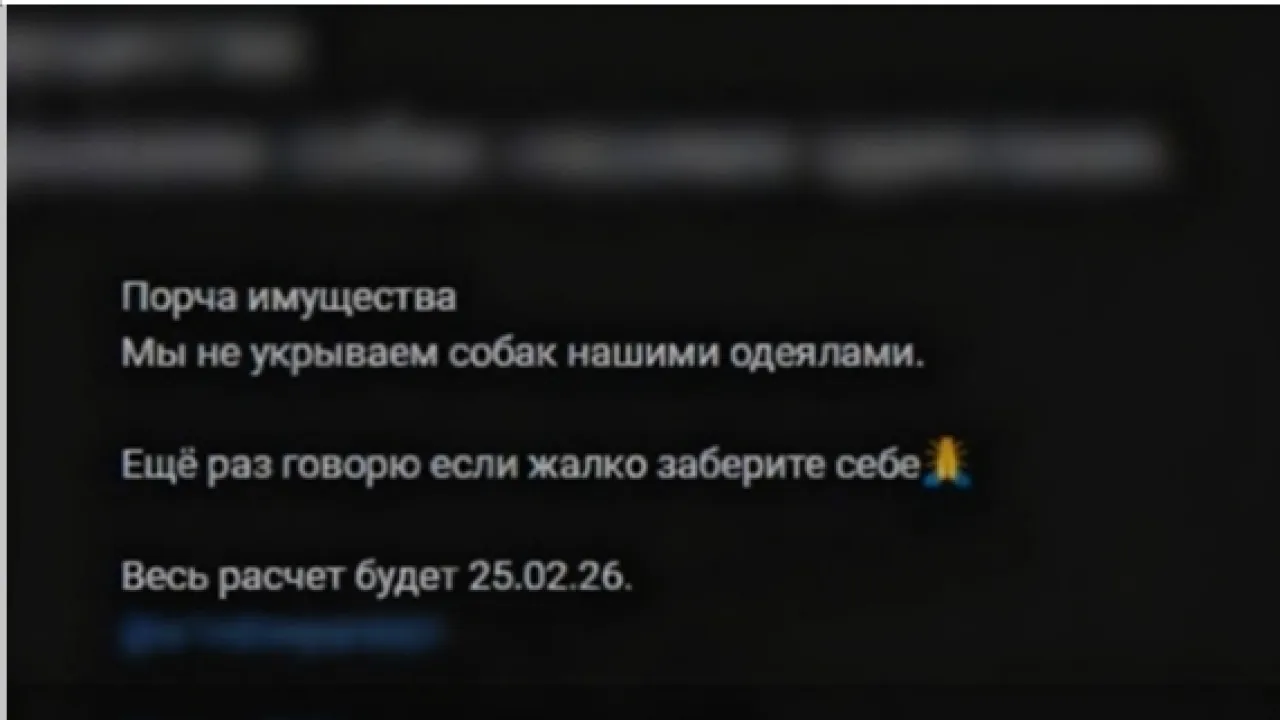 «Сначала выкинули на мороз собаку, потом человека»: Скандал в пиццерии грянул на всю страну «Сначала выкинули на мороз собаку, потом человека»: Скандал в пиццерии грянул на всю страну